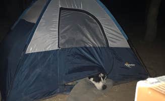 Emily M.'s photo of camping with pets at Zion Dump Station near Zion National Park