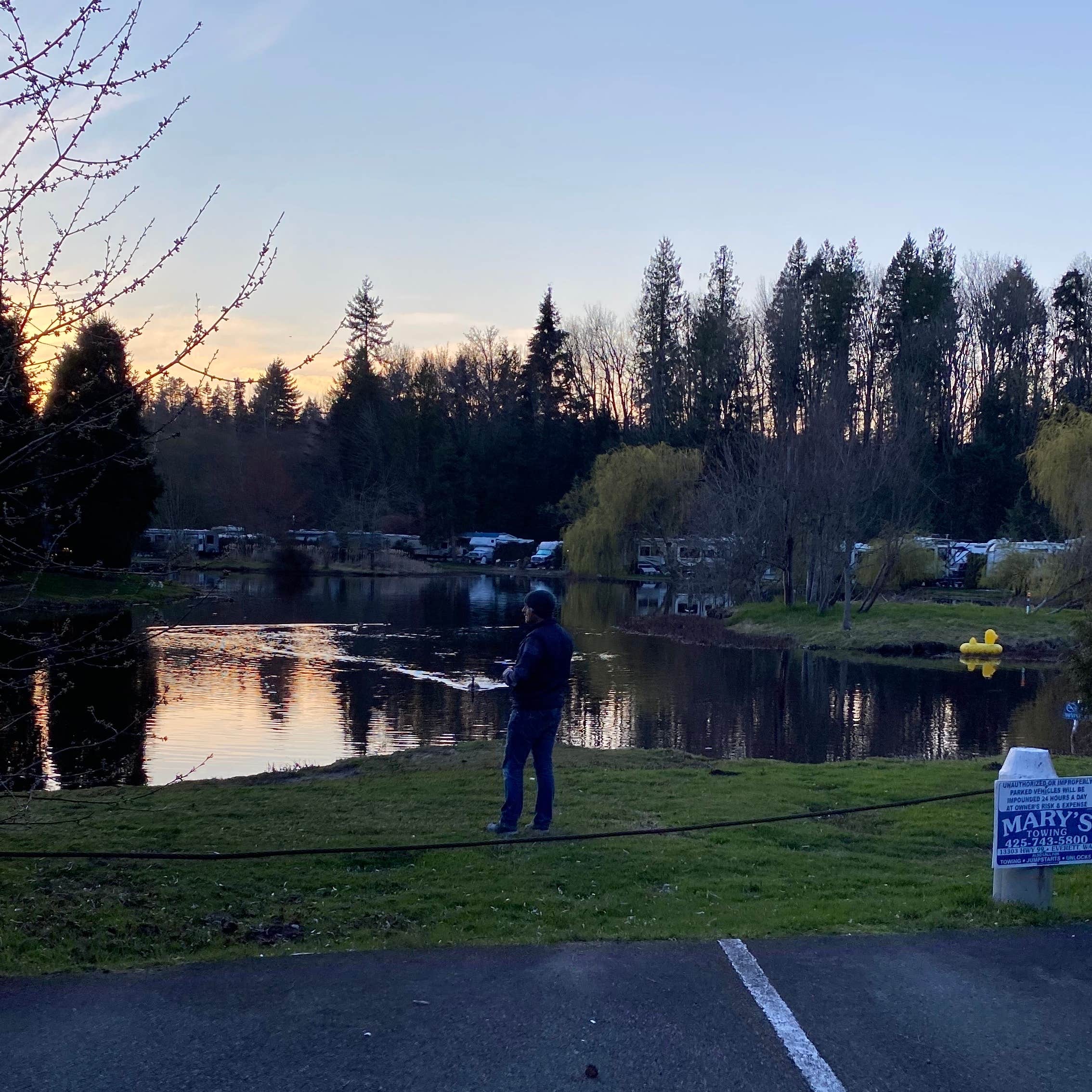 Lake Pleasant RV Park Camping The Dyrt