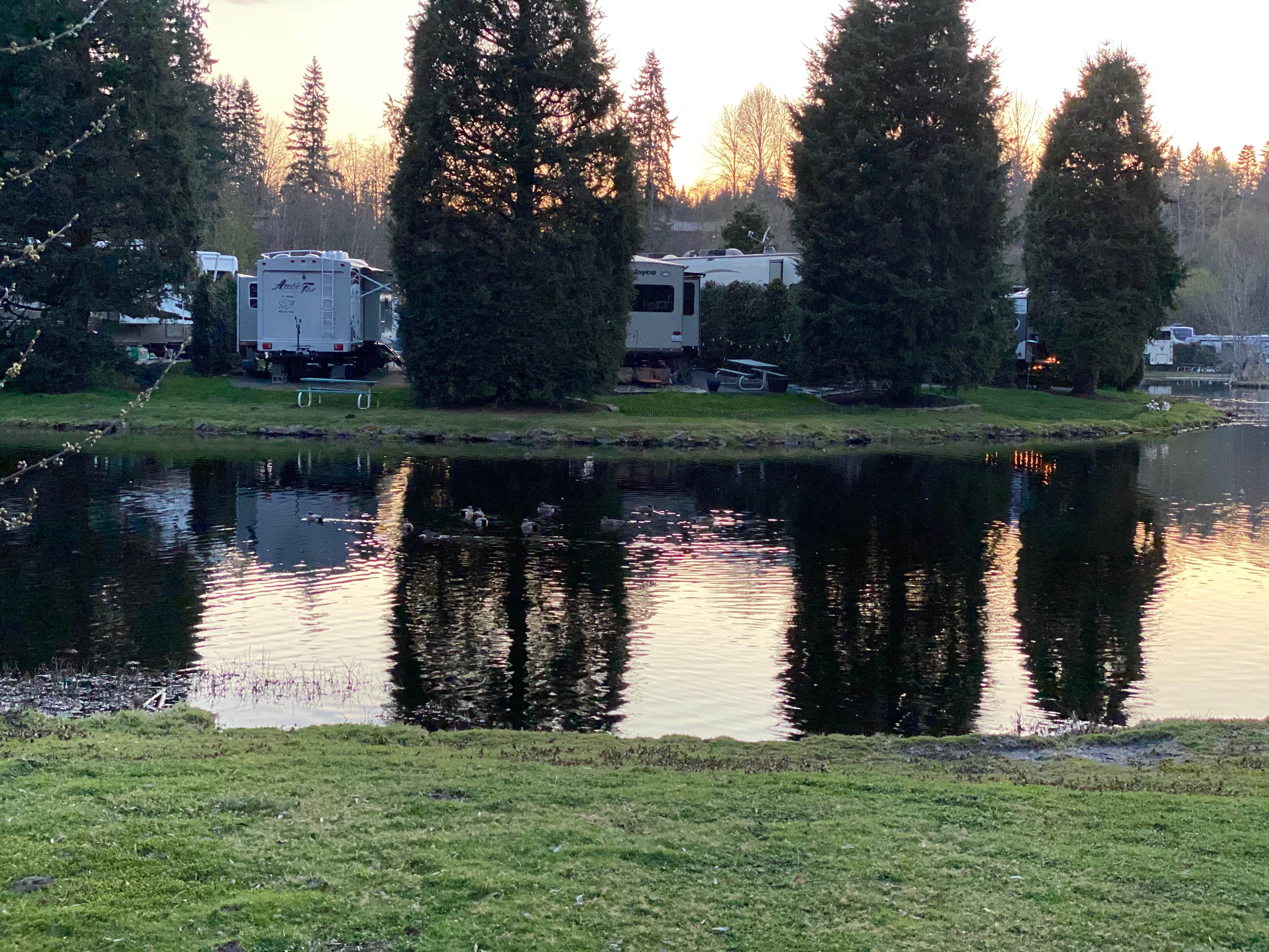 Camper-submitted photo at Lake Pleasant RV Park near Clinton, WA