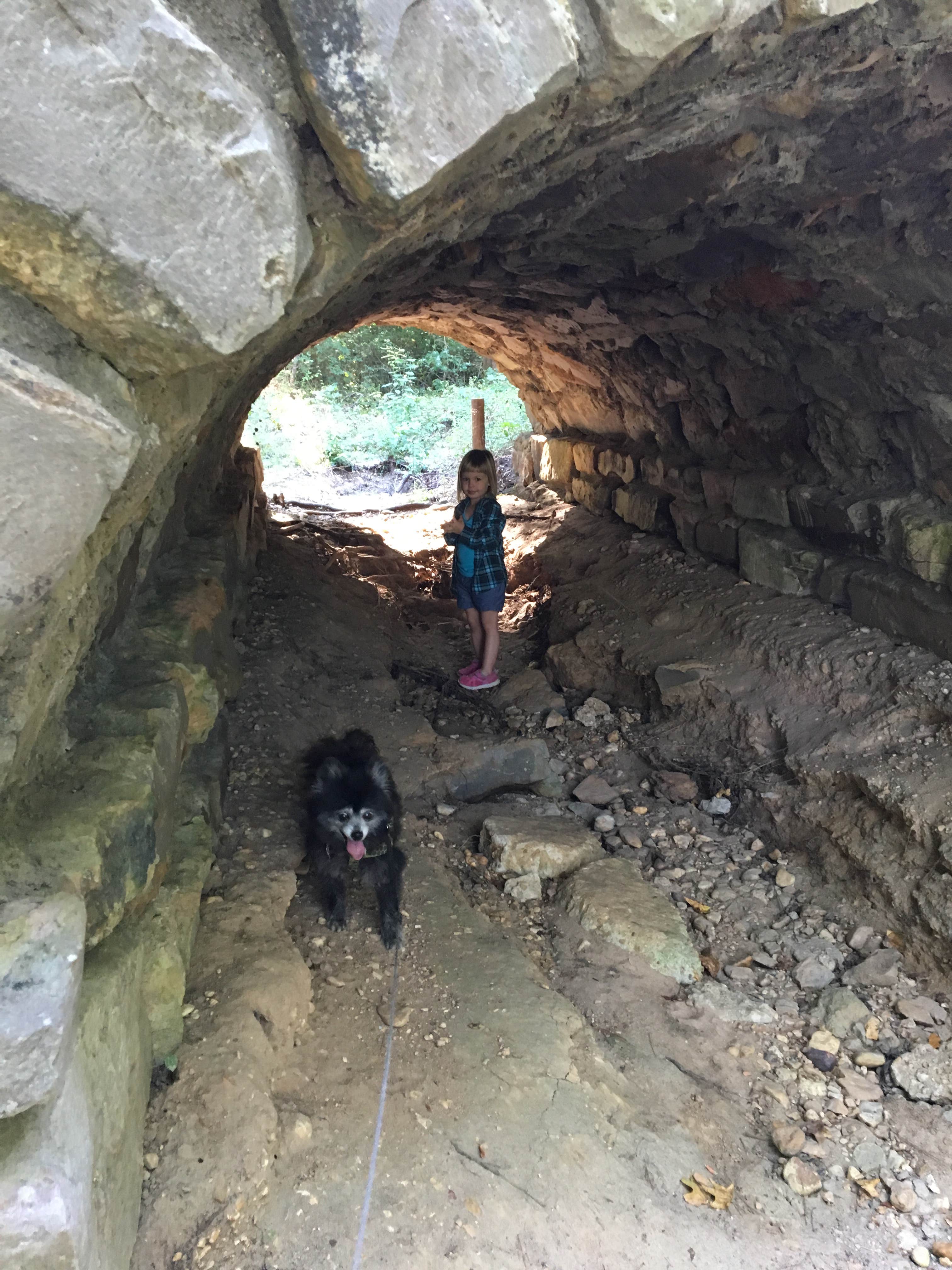 Shelly S.'s photo of camping with pets at Crowley's Ridge State Park Campground near Harrisburg, AR