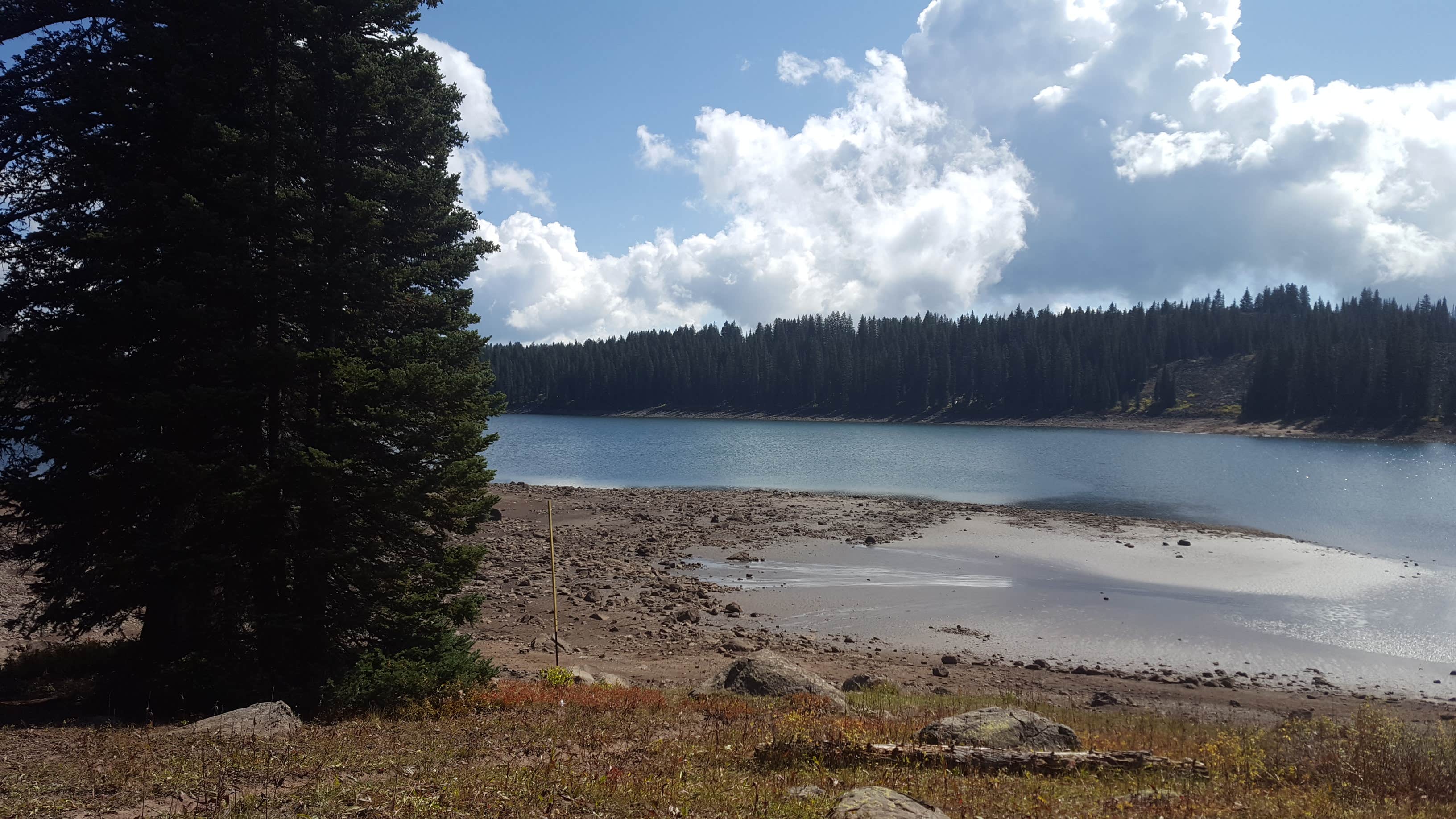 Camper-submitted photo at Ward Lake Campground near Collbran, CO