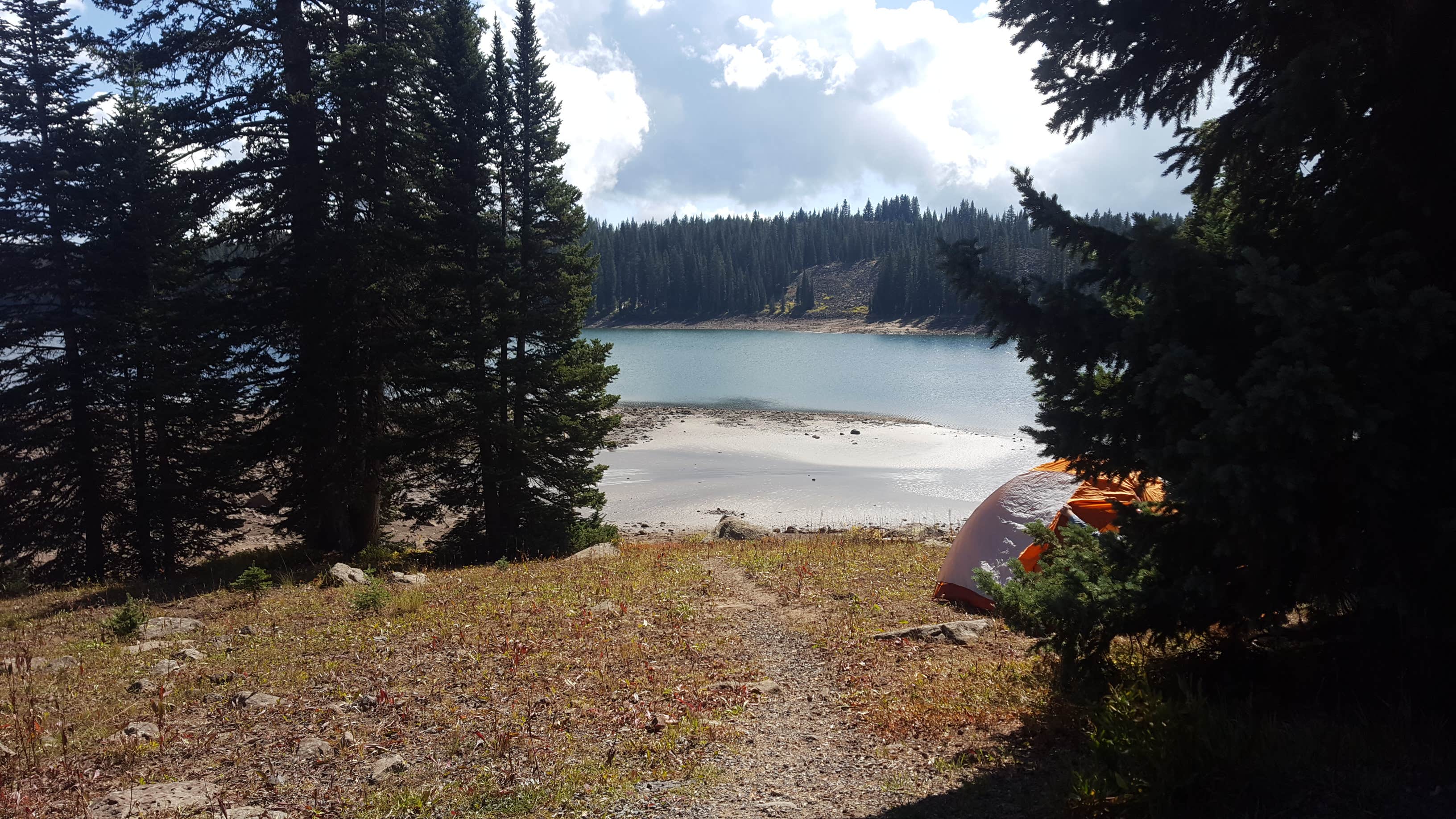 Camper-submitted photo at Ward Lake Campground near Collbran, CO