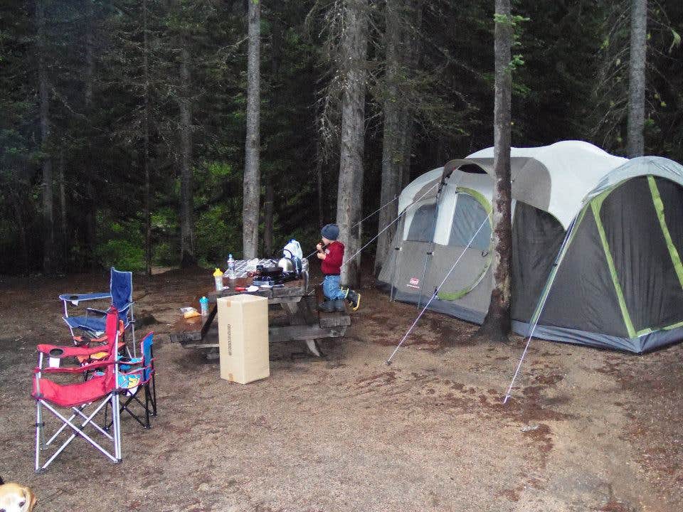 Jill T.'s photo at Lone Fir Campground near Mazama, WA