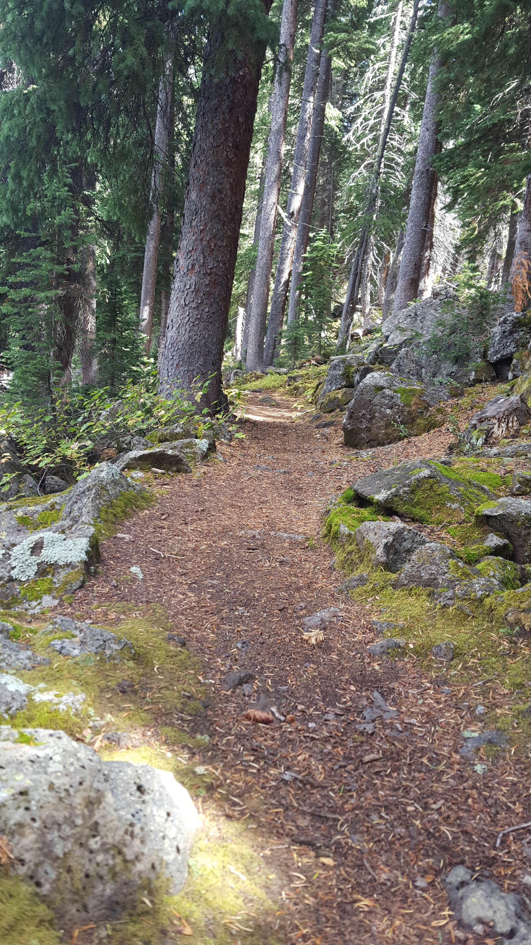 Camper submitted image from Ward Lake Campground - 2