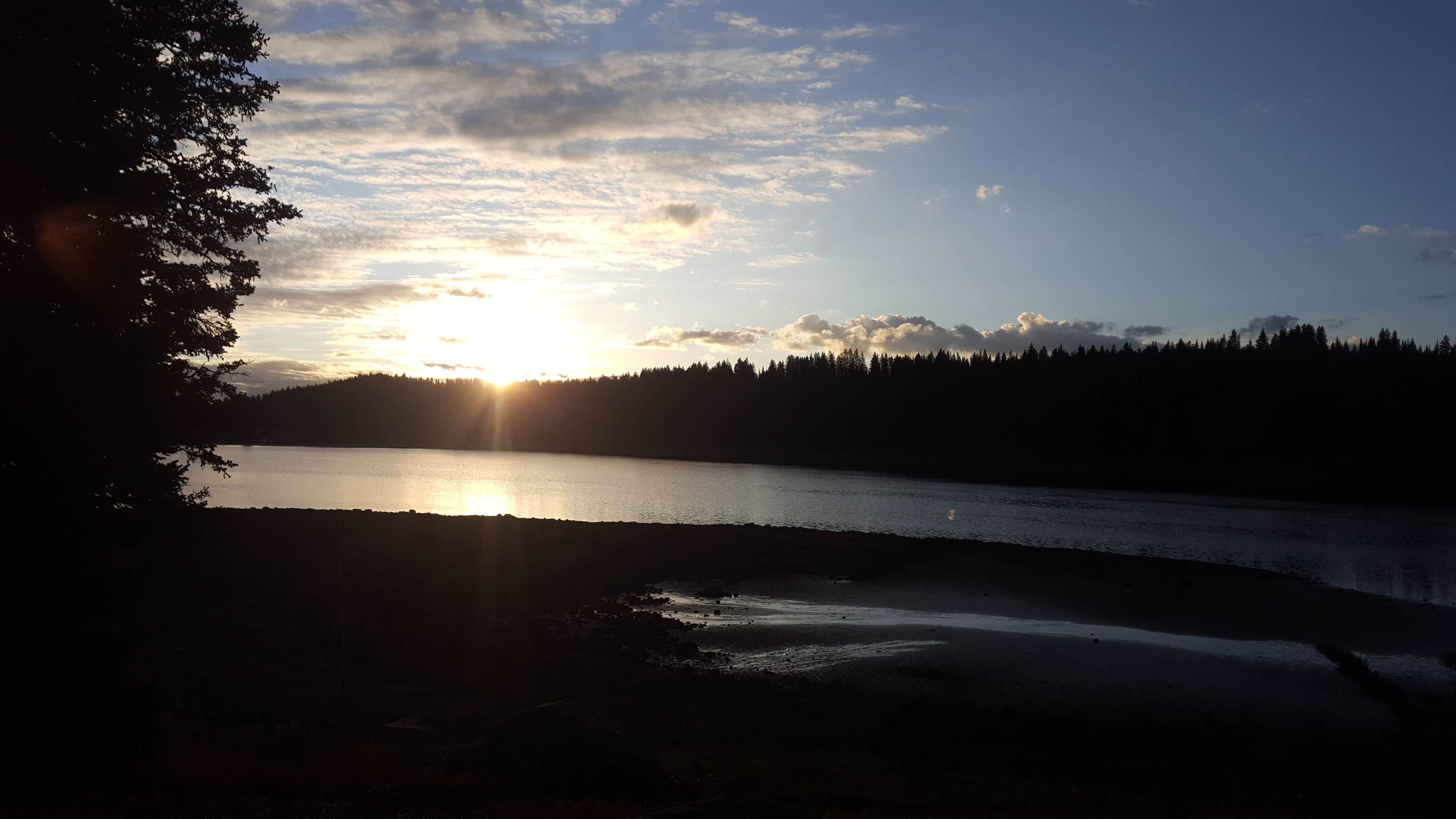 Camper-submitted photo at Ward Lake Campground near Collbran, CO