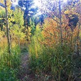 Review photo of Silver Queen Campground by Emily V., September 19, 2017