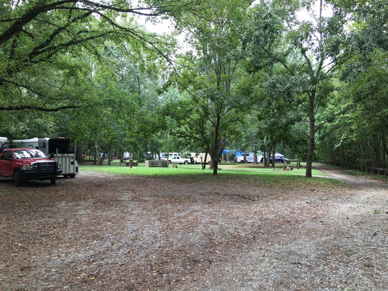 Camper submitted image from Cottonwood Patch Campground - 3