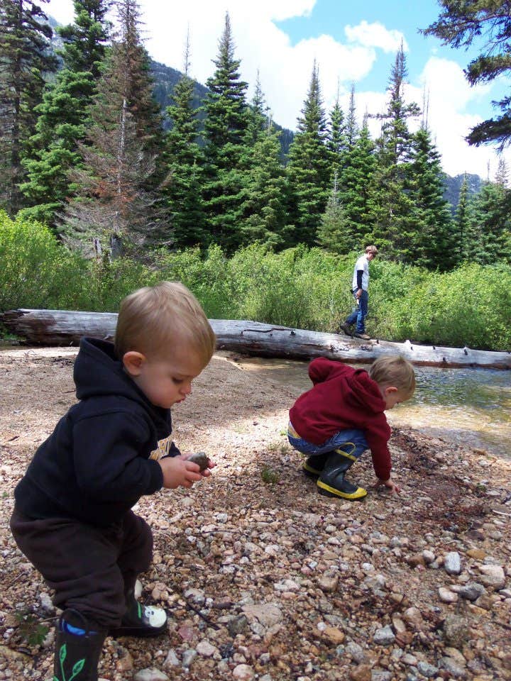 Camper submitted image from Lone Fir Campground - 2