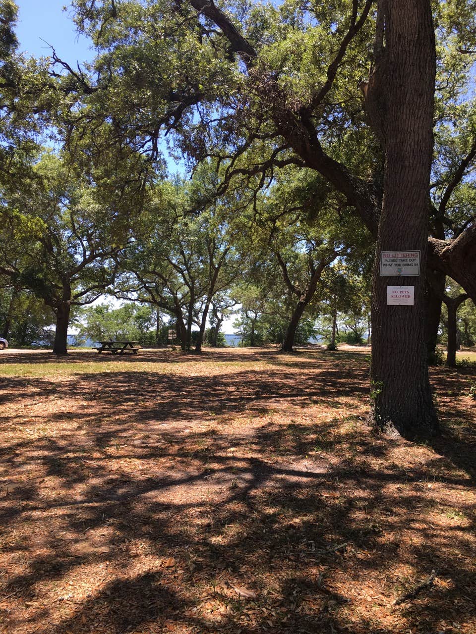 Camper-submitted photo at Mid Bay Shores Maxwell near Destin, FL