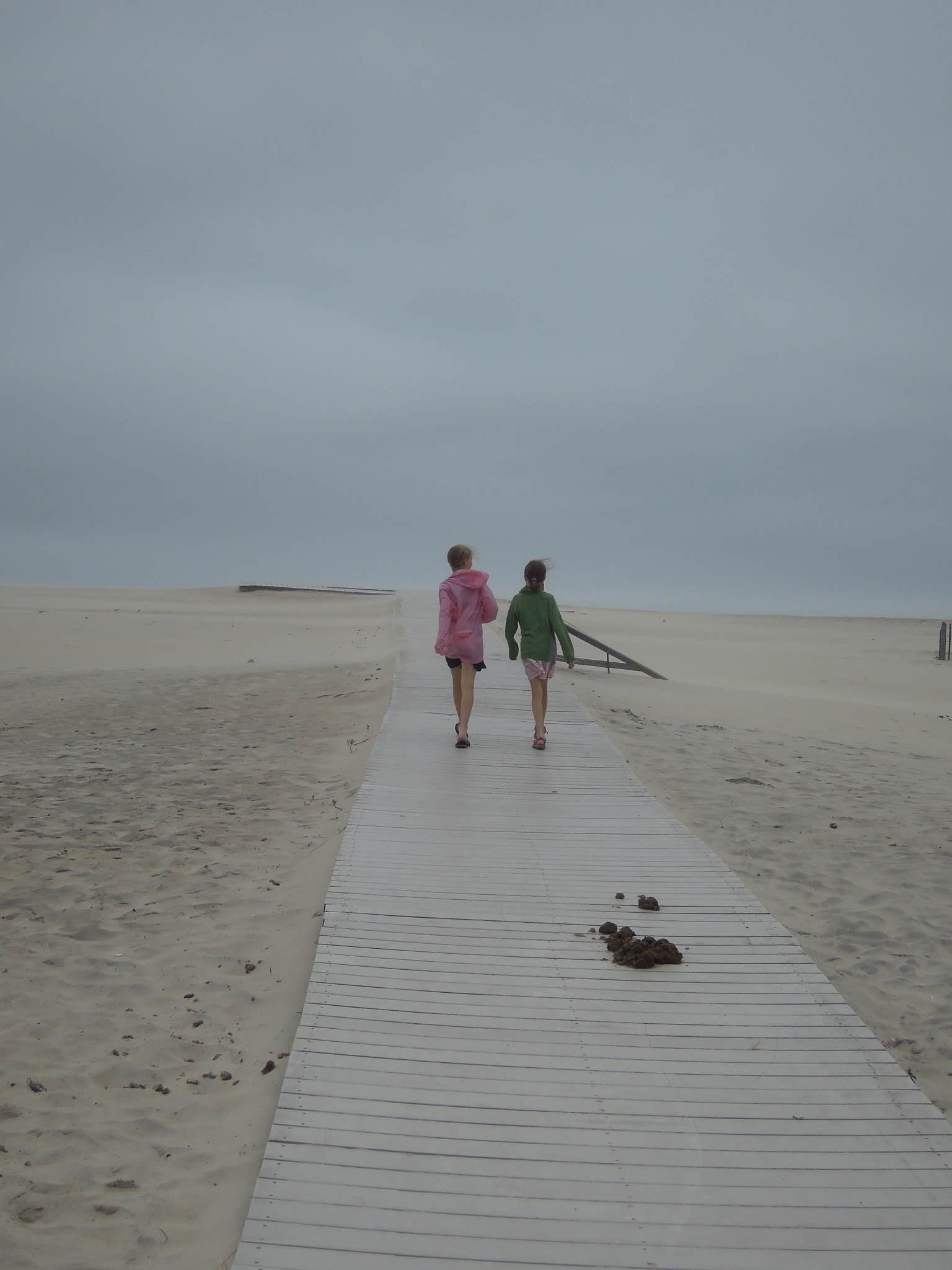 Camper submitted image from Bayside Assateague Campground — Assateague Island National Seashore - 3