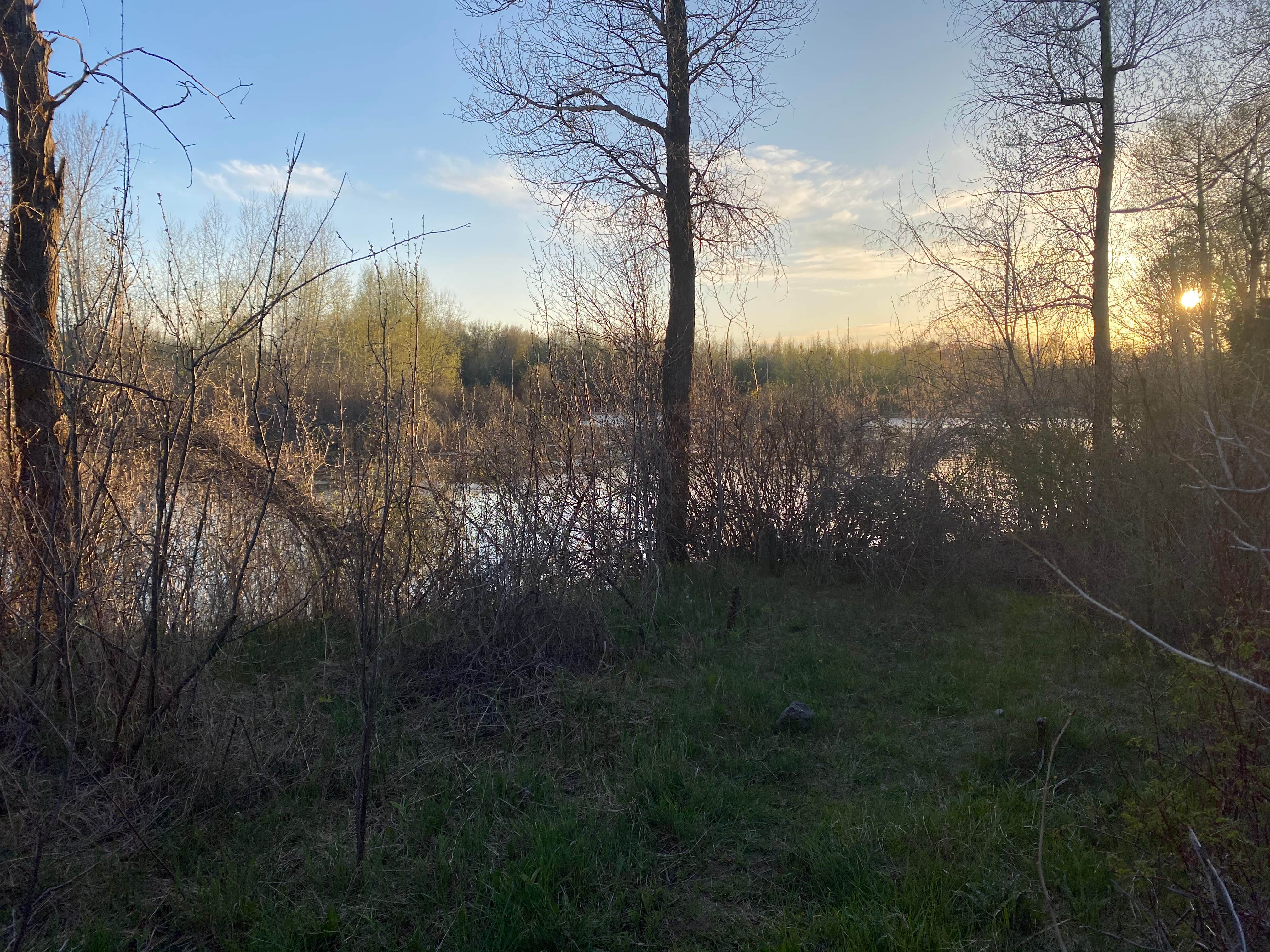 Camper-submitted photo at Twin Bridges Park near Rigby, ID