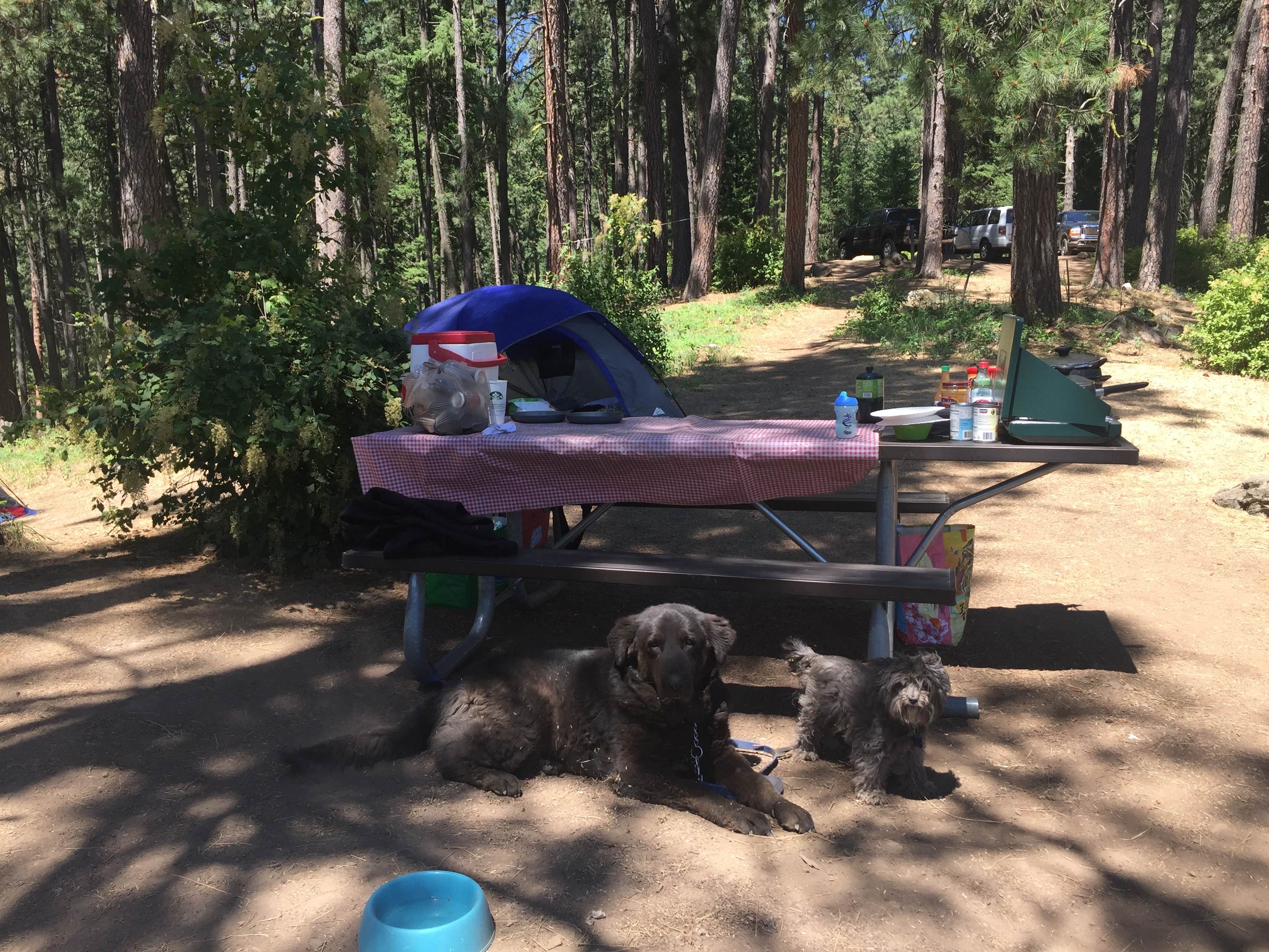 Camper submitted image from Hawleys Landing Campground — Heyburn State Park - 3