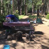 Review photo of Hawleys Landing Campground — Heyburn State Park by Alicia F., May 3, 2020