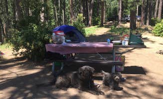 Alicia F.'s photo at Hawleys Landing Campground — Heyburn State Park near Glenwood, WA