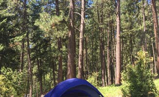 Alicia F.'s photo at Hawleys Landing Campground — Heyburn State Park near Calder, ID