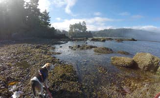 Jill T.'s photo of camping with pets at Salt Creek Recreation Area near Sol Duc Hot Springs, WA