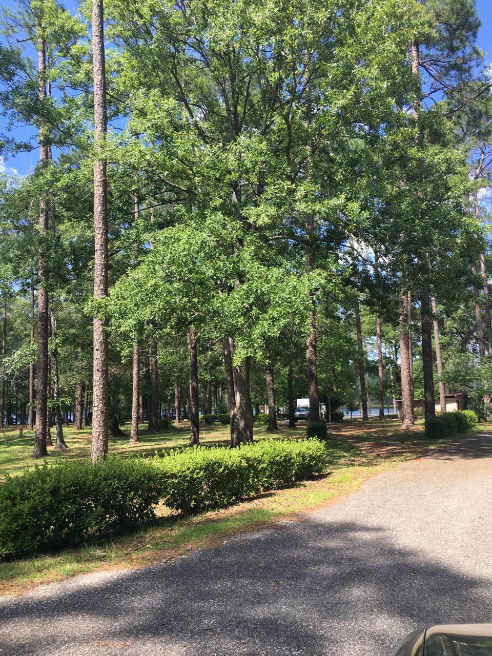 Camper submitted image from North Karick Lake Recreation Area - 2