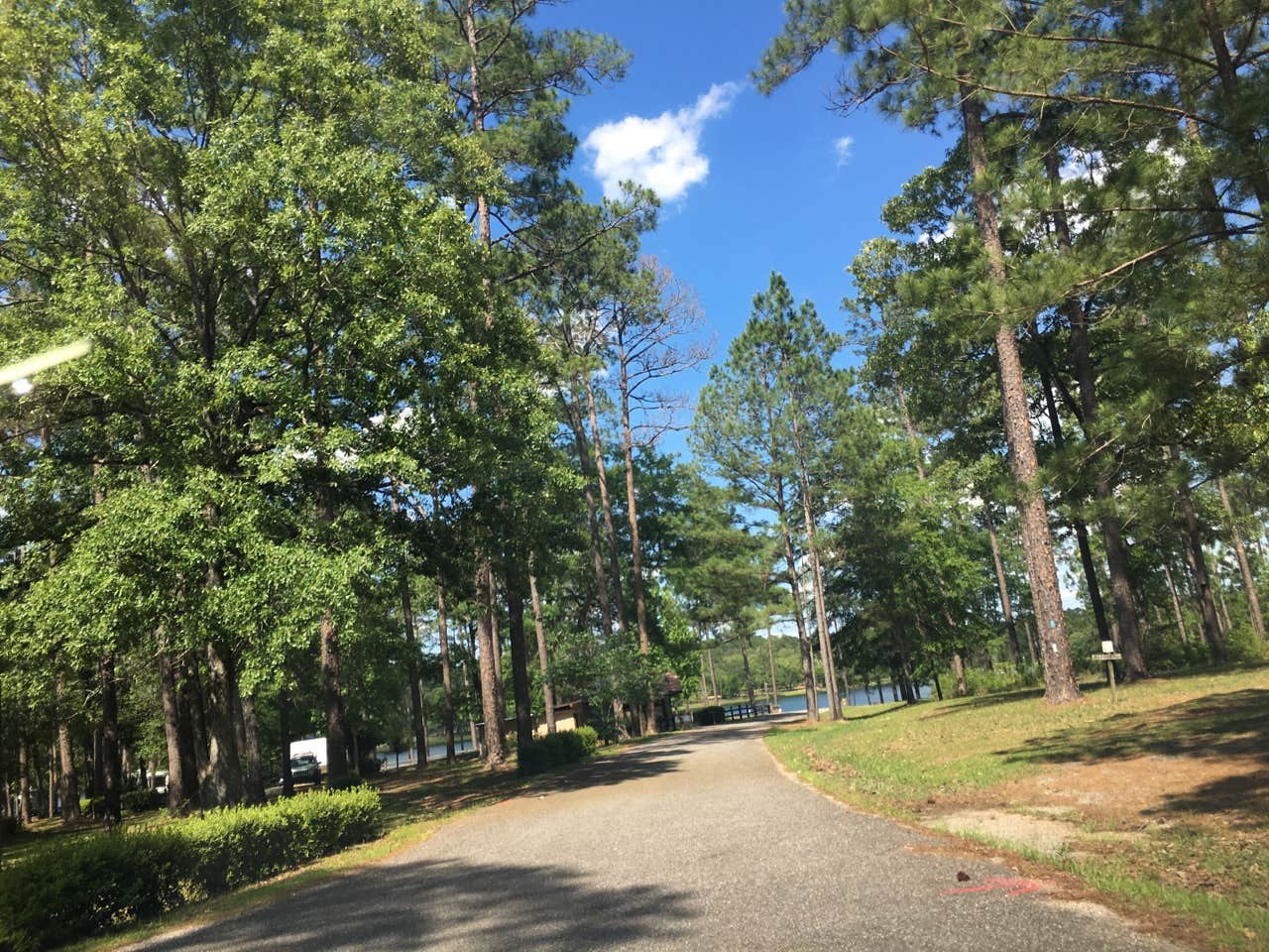 Camper-submitted photo at North Karick Lake Campground — Blackwater River State Forest near Baker, FL