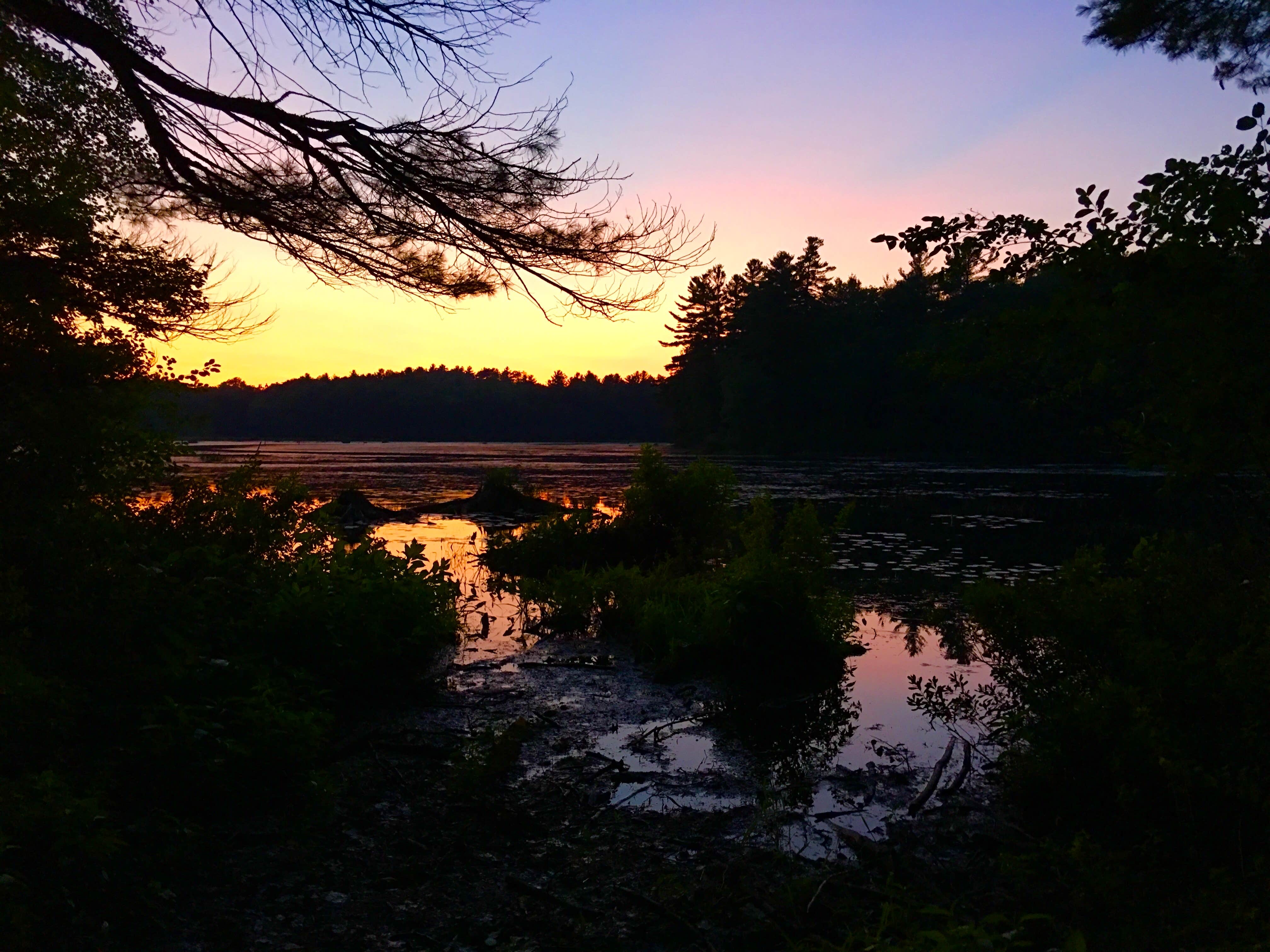Nature