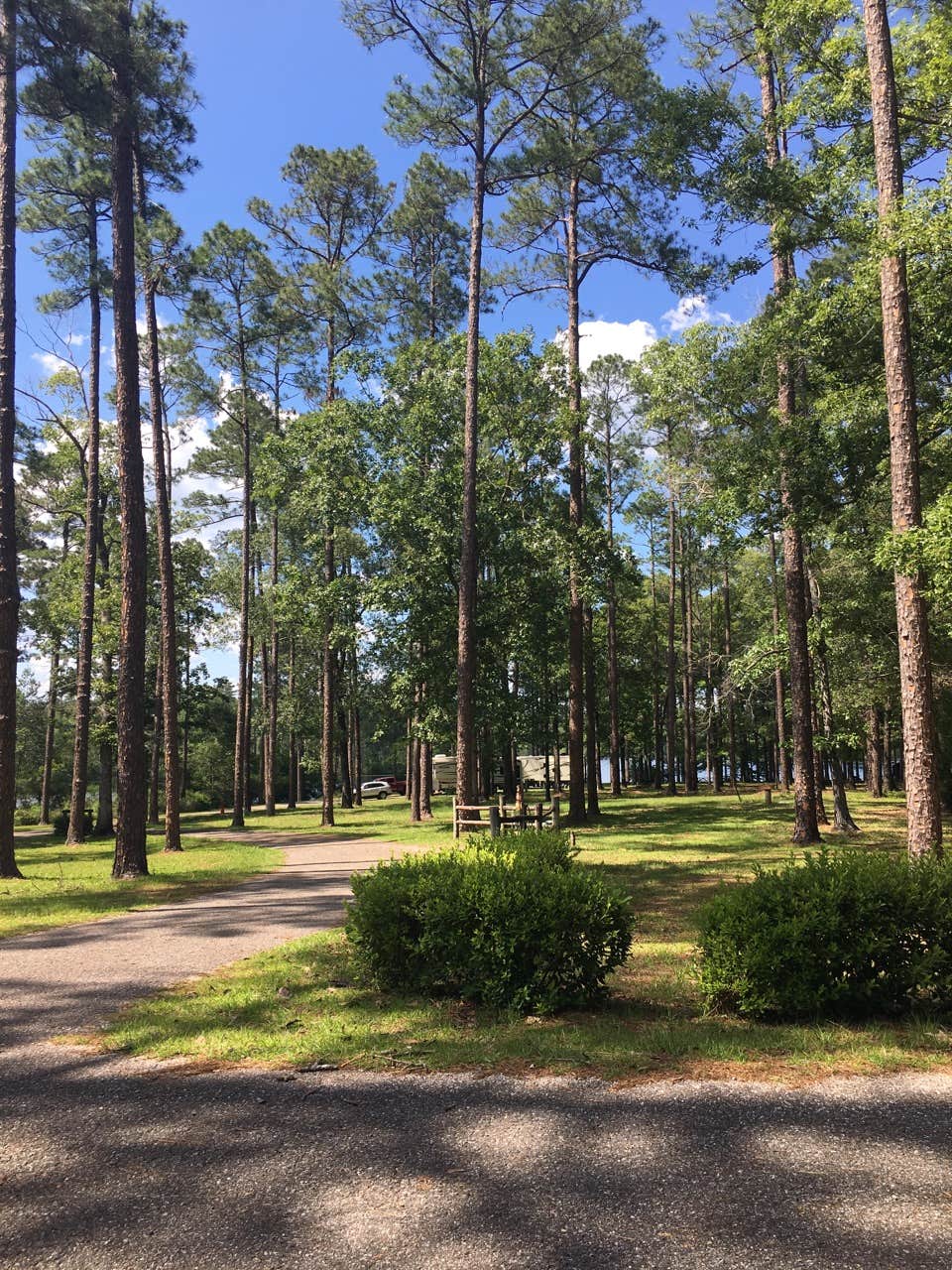 Camper-submitted photo at North Karick Lake Campground — Blackwater River State Forest near Baker, FL