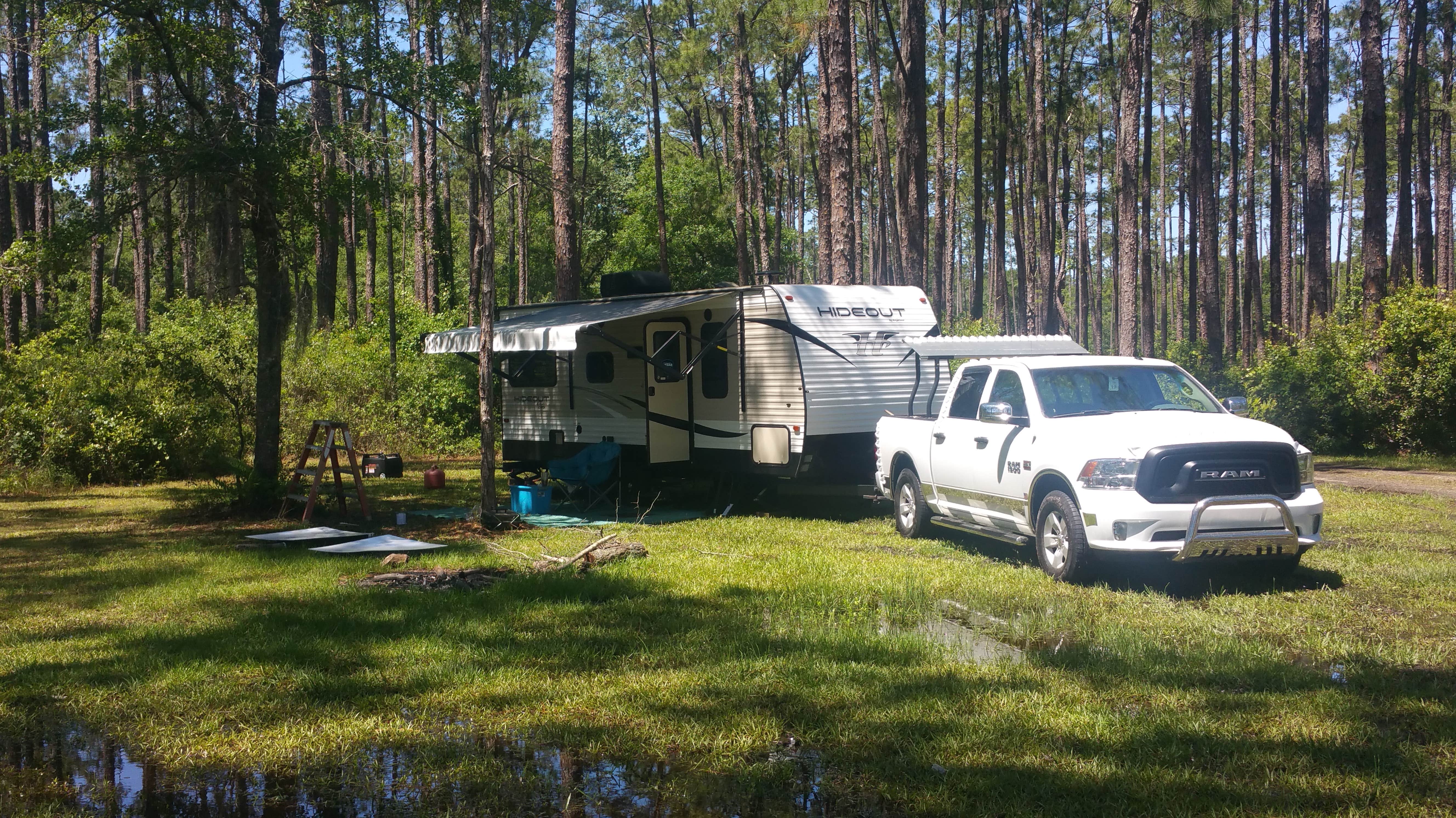 Patrick M.'s photo at 17 Mile Hunt Camp near Lake City, FL