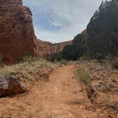 Review photo of Arch Campground — Kodachrome Basin State Park by Marisa P., May 3, 2020