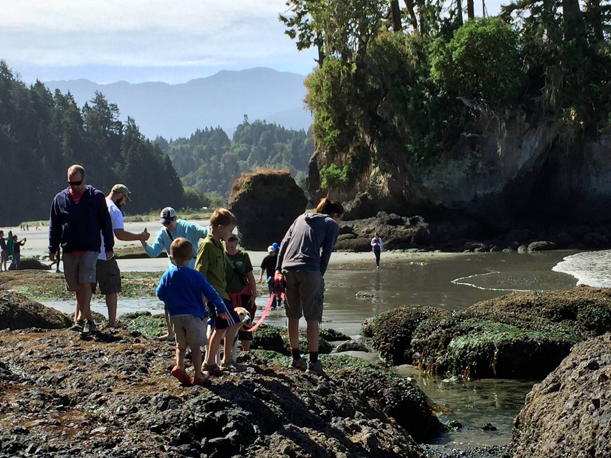 Camper submitted image from Salt Creek Recreation Area - 5