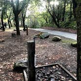 Review photo of Uvas Canyon County Park by Tom and Marianne  H., April 5, 2020