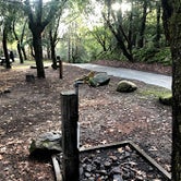 Review photo of Uvas Canyon County Park by Tom and Marianne  H., April 5, 2020