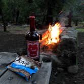 Review photo of Uvas Canyon County Park by Tom and Marianne  H., April 5, 2020