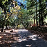 Review photo of Uvas Canyon County Park by Tom and Marianne  H., April 5, 2020