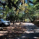 Review photo of Uvas Canyon County Park by Tom and Marianne  H., April 5, 2020