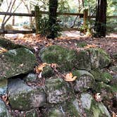 Review photo of Uvas Canyon County Park by Tom and Marianne  H., April 5, 2020