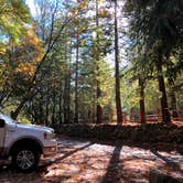 Review photo of Uvas Canyon County Park by Tom and Marianne  H., April 5, 2020