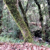 Review photo of Uvas Canyon County Park by Tom and Marianne  H., April 5, 2020