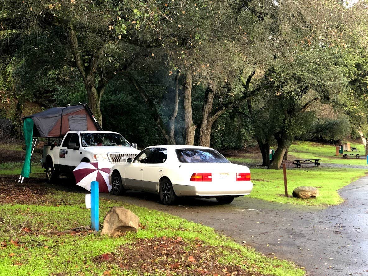 Camper-submitted photo at Coyote Lake Harvey Bear Ranch County Park near San Martin, CA