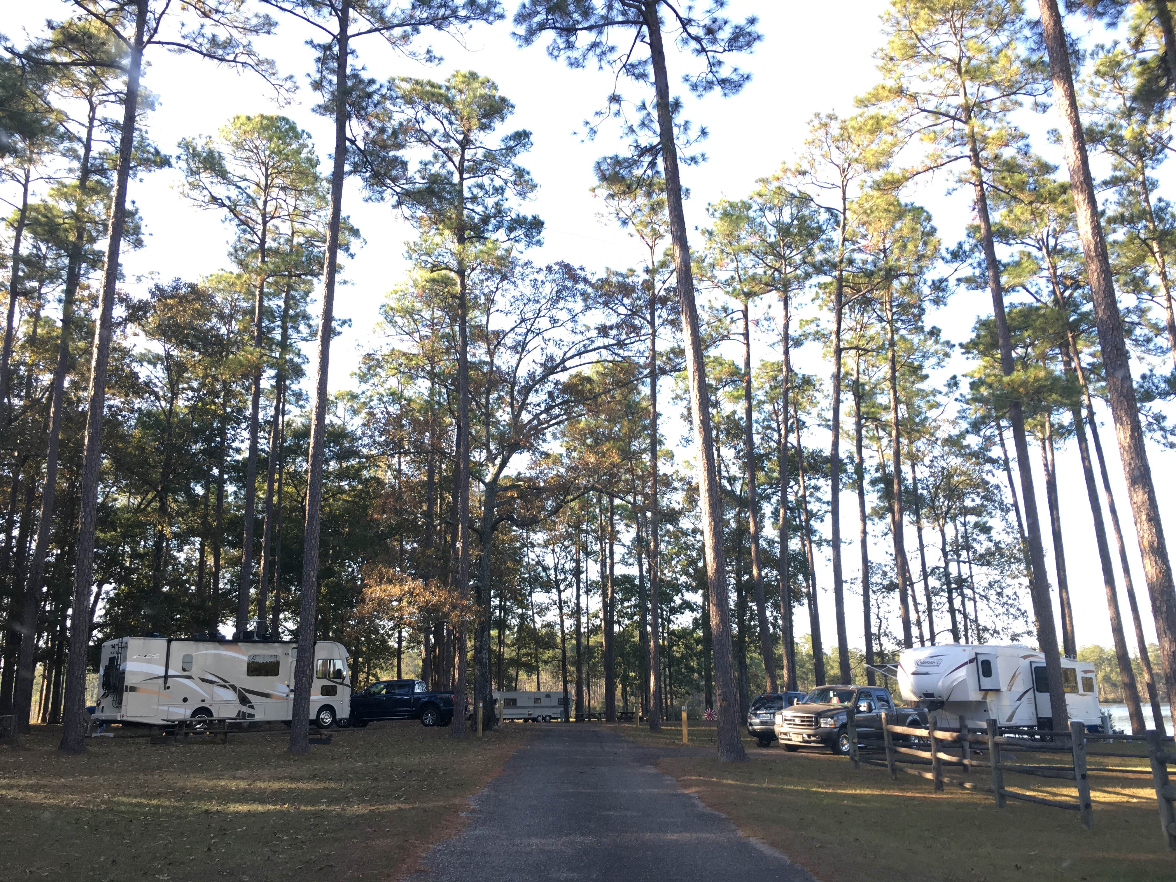Asher K.'s photo of rv camping at North Karick Lake Campground — Blackwater River State Forest near Florala, AL