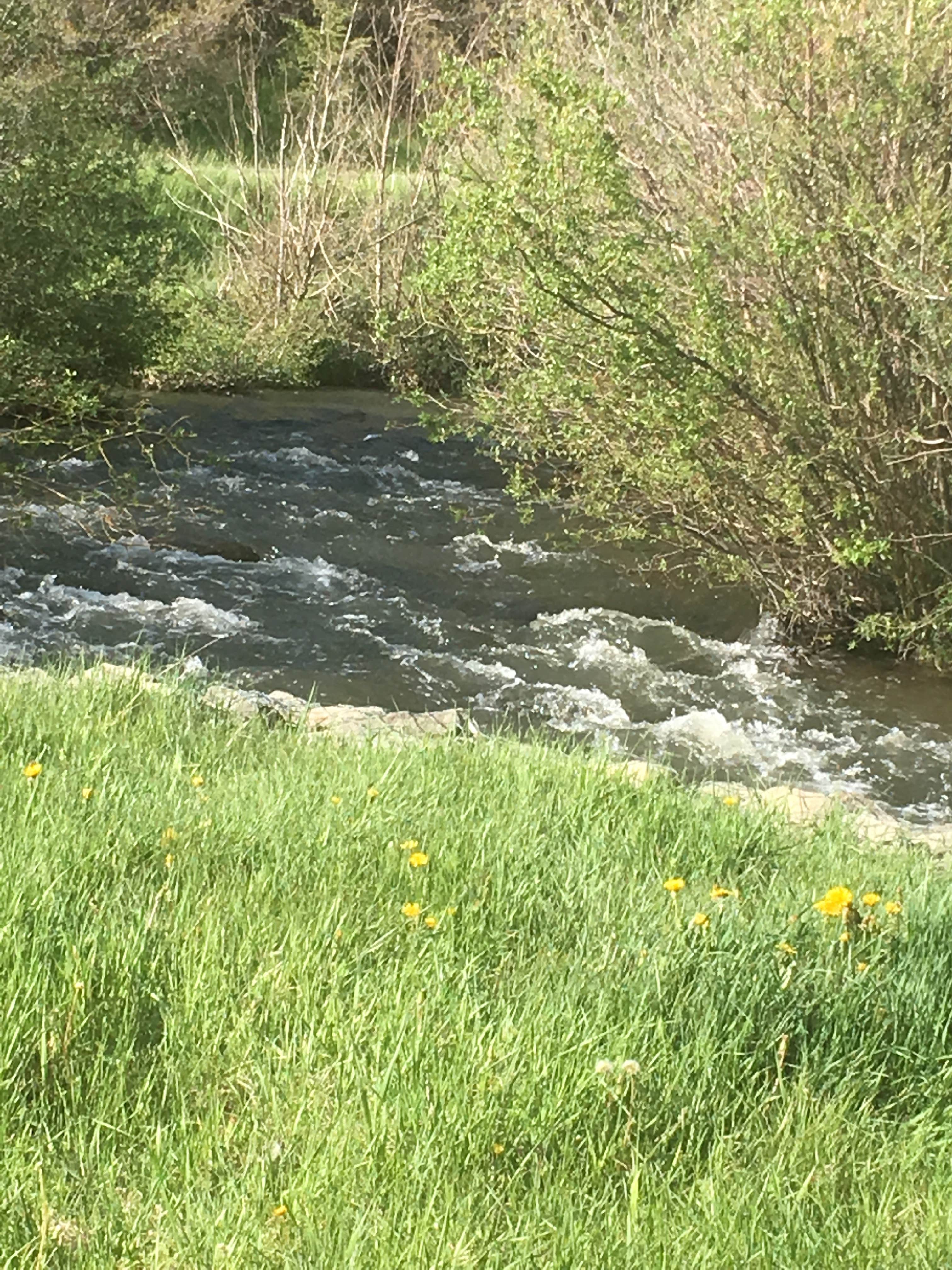 Camper submitted image from La Junta Campground - 3