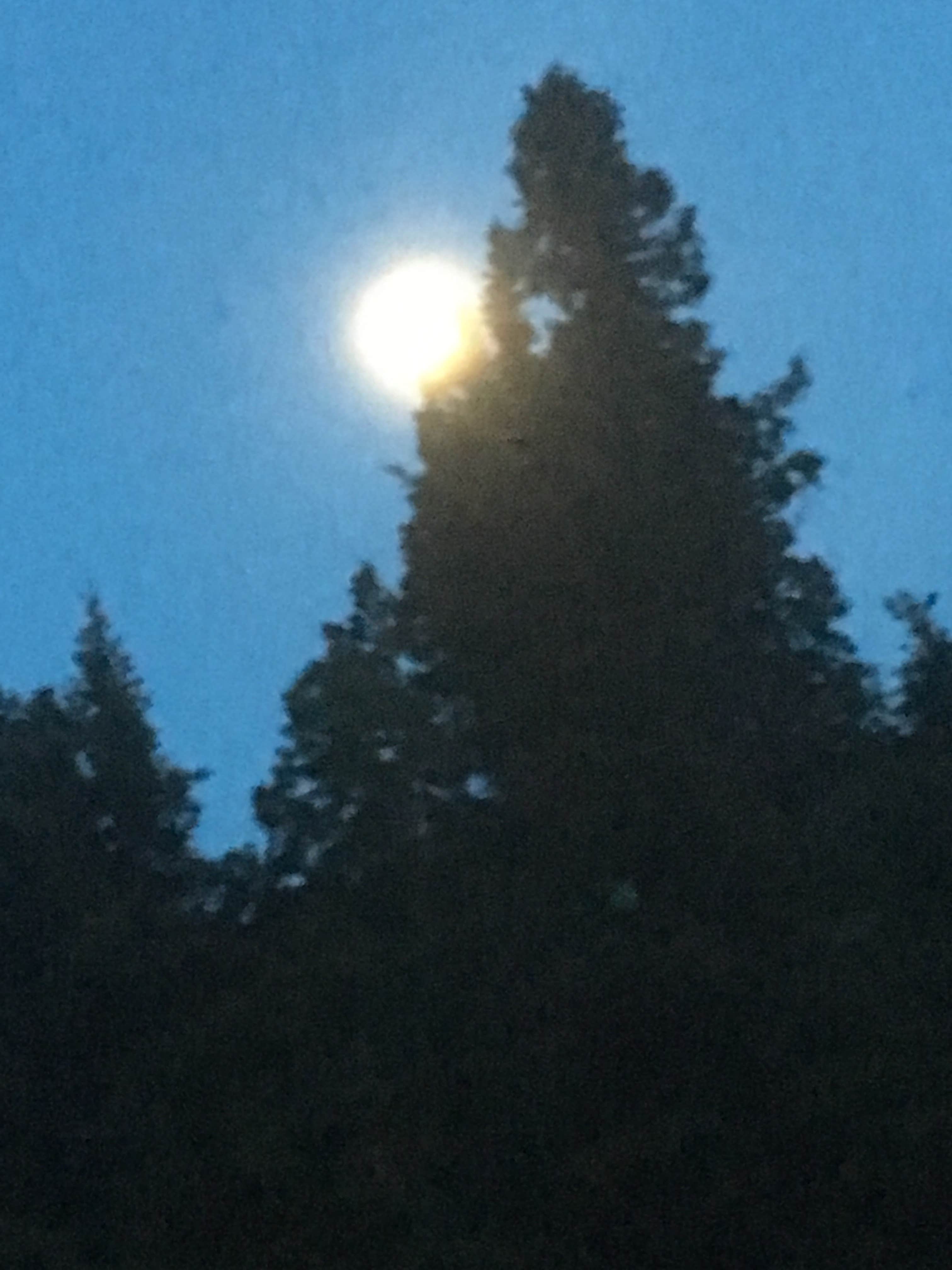 Camper-submitted photo at La Junta Campground near Red River, NM