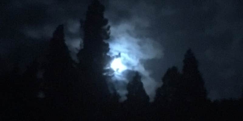 Camper submitted image from La Junta Campground