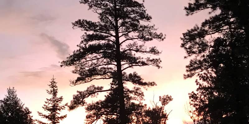 Camper submitted image from EV Long