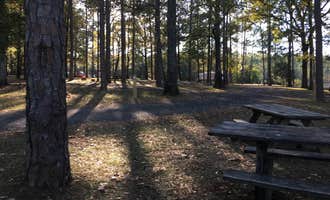 Camping near Florala City Park: North Karick Lake Recreation Area, Baker, Florida