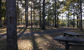 Camping near Boggs and Boulders : North Karick Lake Recreation Area, Baker, Florida