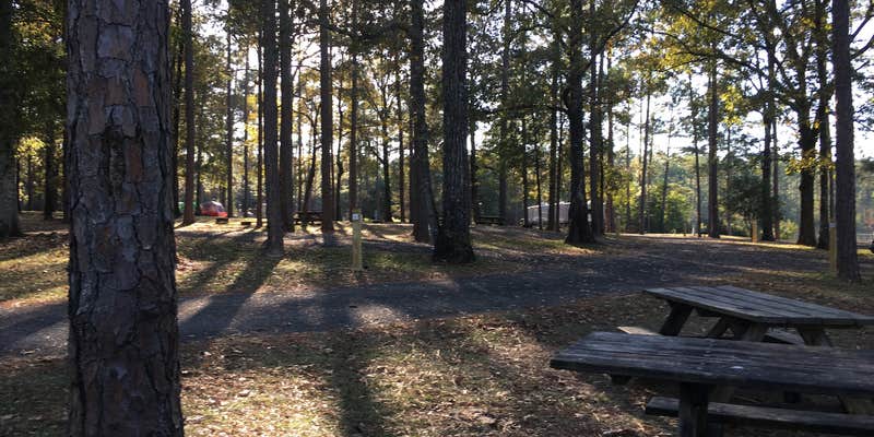 Camper submitted image from North Karick Lake Campground — Blackwater River State Forest
