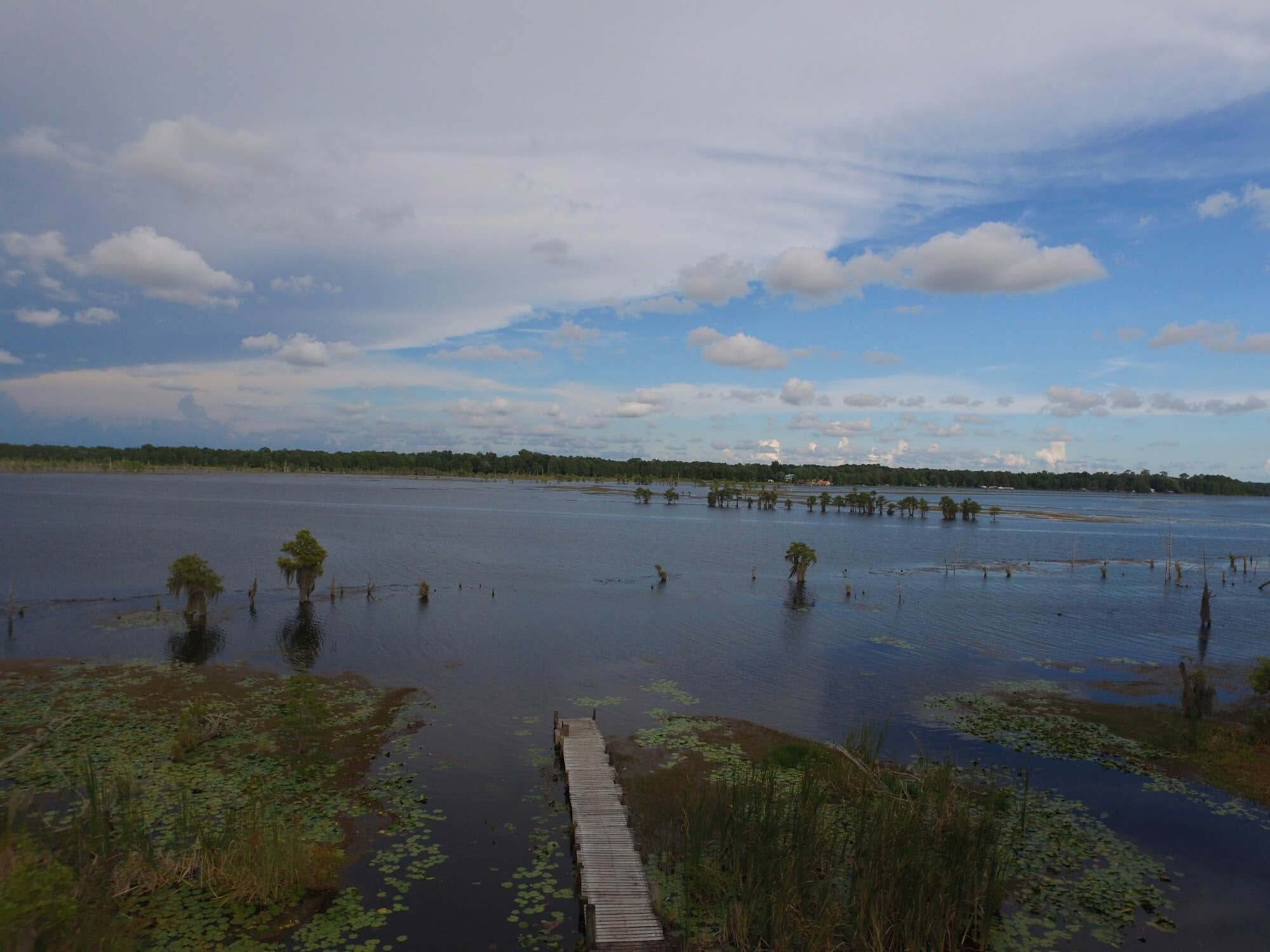 Camper-submitted photo at Tharp's Camp Cedar near Youngstown, FL