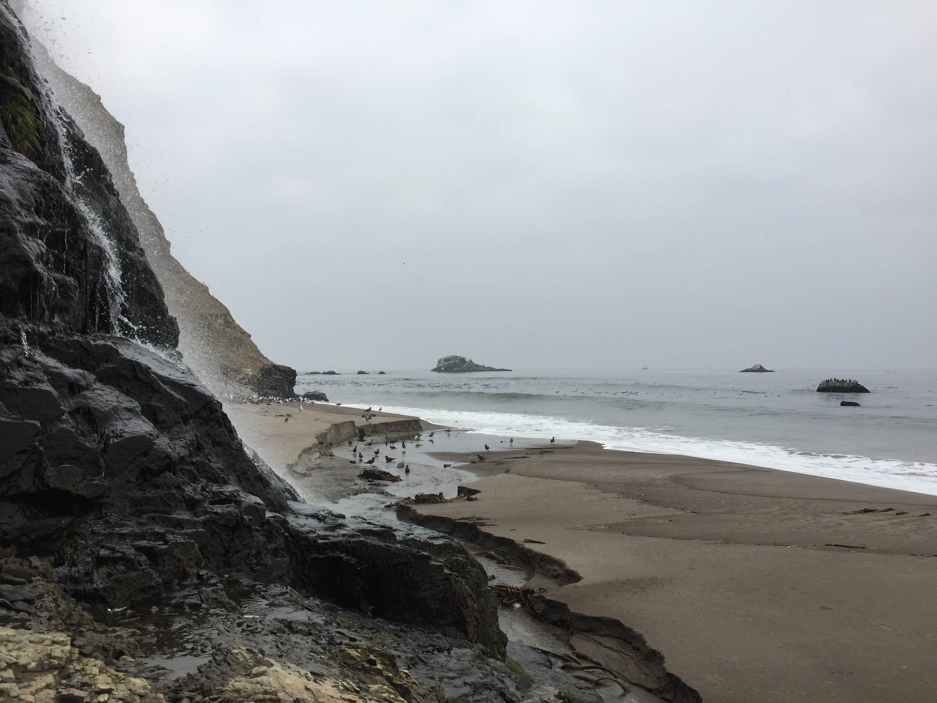 Point Reyes National Seashore Campground The Dyrt