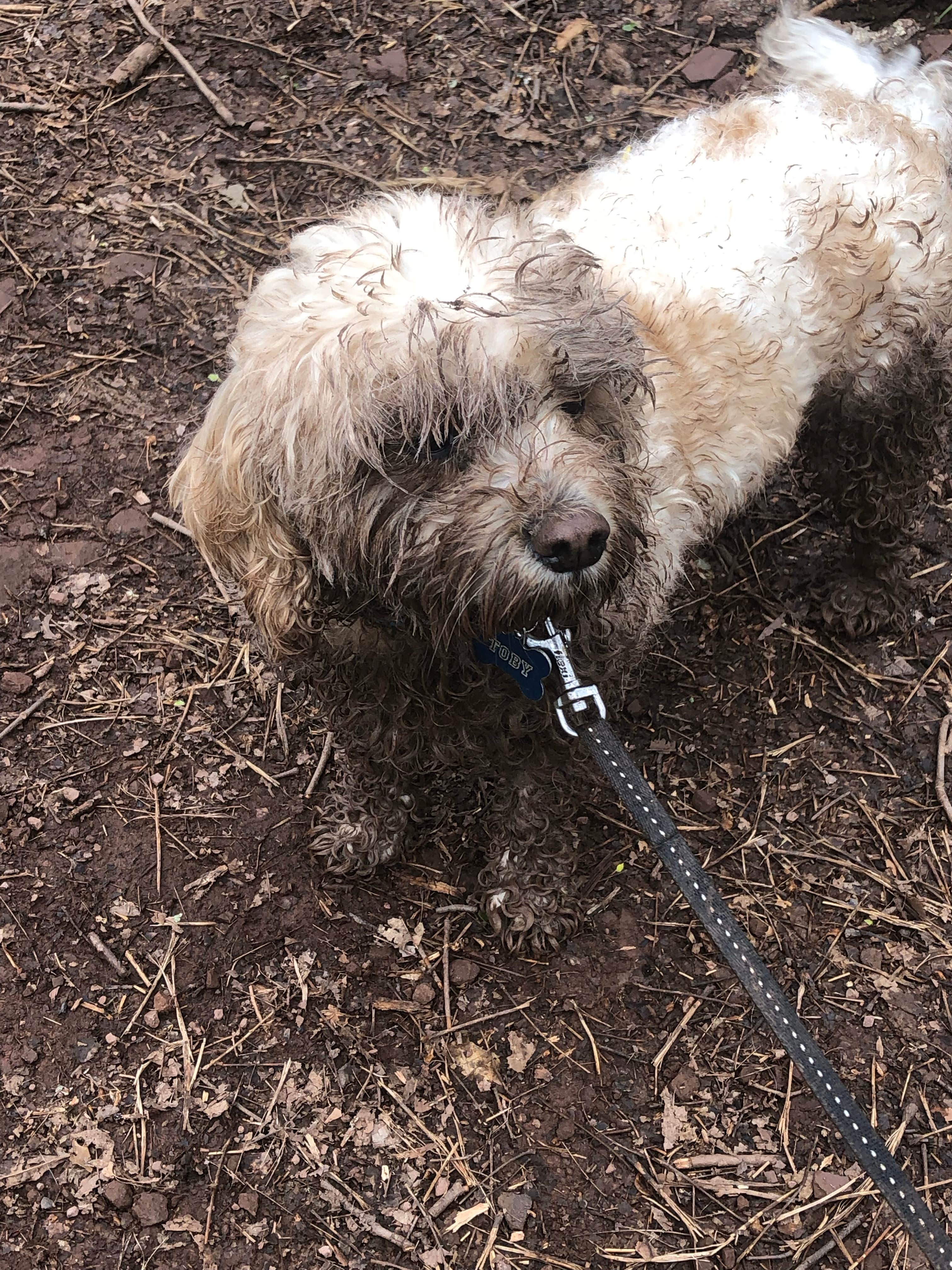 Camper-submitted photo at Evansburg State Park Campground near Blandon, PA