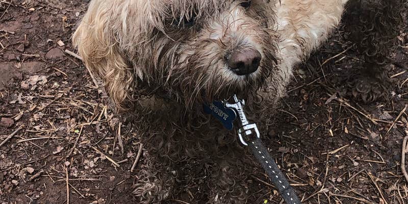 Camper submitted image from Evansburg State Park Campground