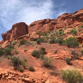 Review photo of Red Cliffs Campground by Erik C., May 4, 2020