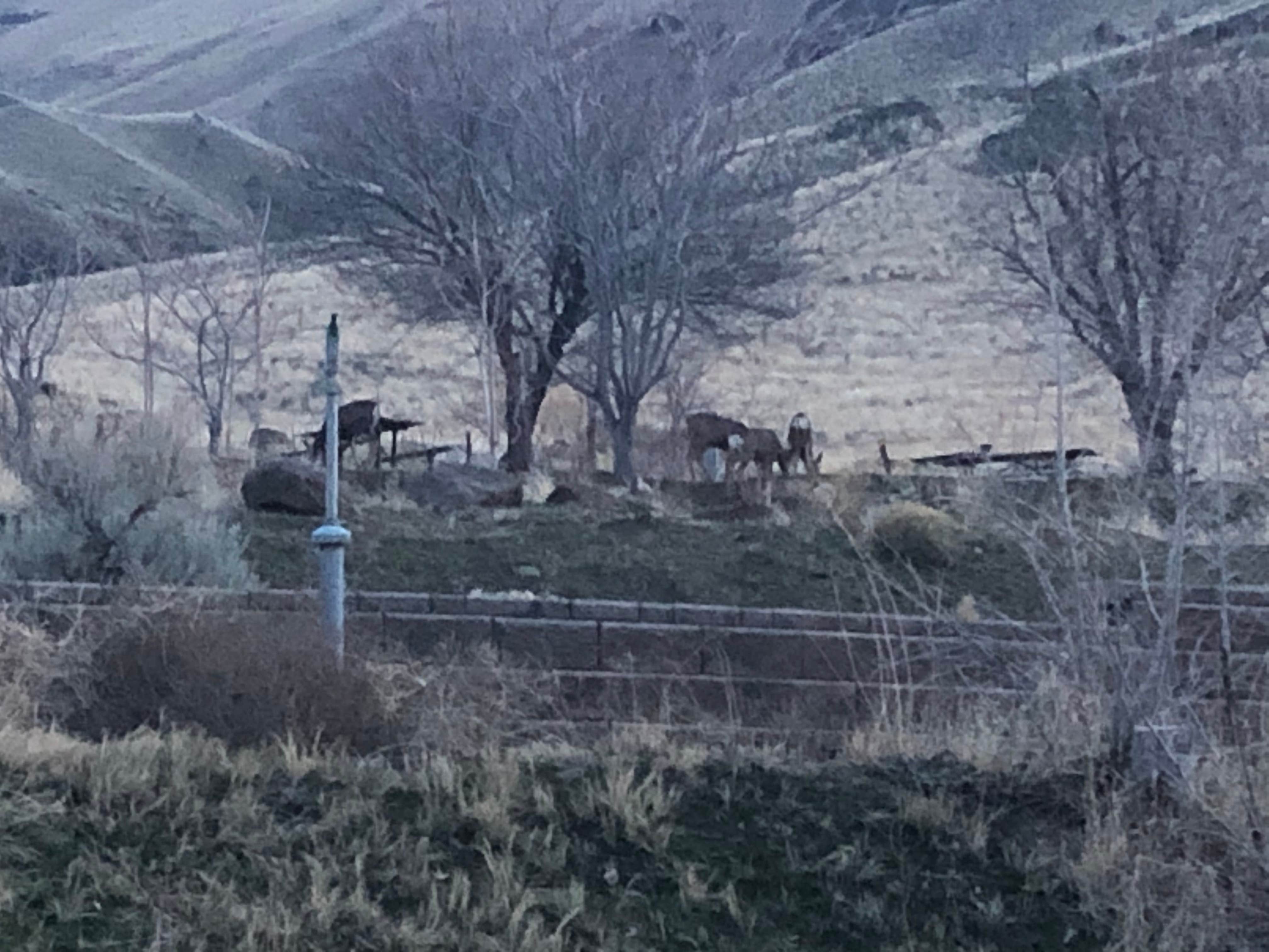 Camper-submitted photo at McCormack Campground — Lake Owyhee State Park near Star, ID